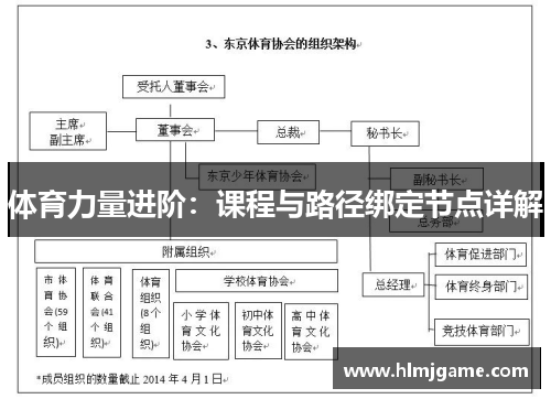 体育力量进阶：课程与路径绑定节点详解