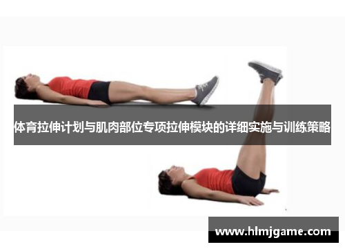 体育拉伸计划与肌肉部位专项拉伸模块的详细实施与训练策略